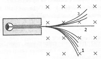 0200n2qi-91eb-353x206.jpg