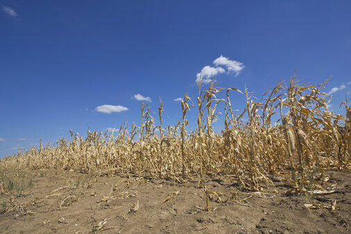 0200n386-67e7.jpg