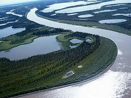 0200n593-5b9c.jpg