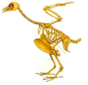 0200n641-7a6c.png