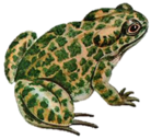 0200n65w-758d-138x127.png