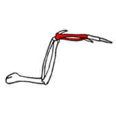 0200n66g-889c-169x179.png