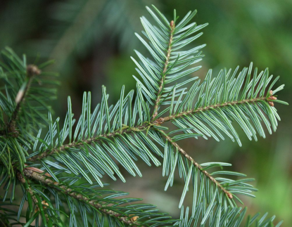 0200n6vg-20f6-539x419.png