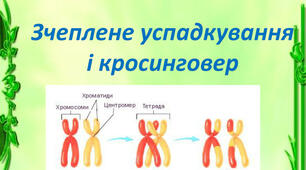 Тестове завдання з теми: "Зчеплене успадкування, взаємодія генів"