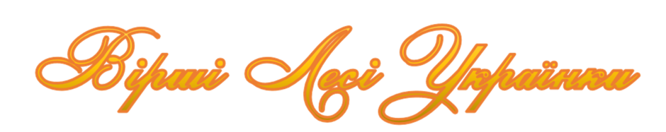 0200n8q7-01bc-940x187.png