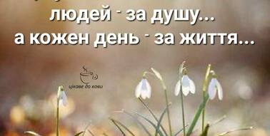 Тест на богдана