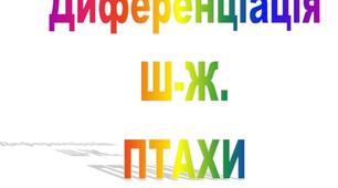 Заняття з логоритміки. Диференціація Ж-Ш