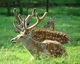 0200nd2c-ba42-117x94.jpg