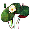 0200ndff-3217.png