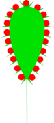 0200ndjs-5c37-79x180.png