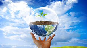 Nature& Environment 11 form