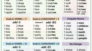 PLURAL OF NOUNS