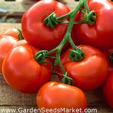 Помидор - Babinicz - Lycopersicon esculentum Mill - семена – Garden Seeds  Market | Бесплатная доставка