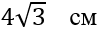 0200nime-4e85.png