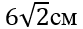 0200nimp-9897.png