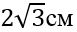 0200ninc-68b9.png