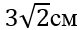 0200nink-9274.png