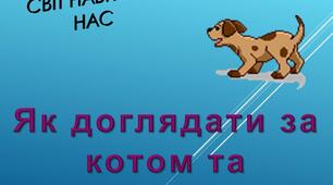 Як доглядати за кішкою та собакою