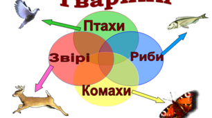 (Копія) Тваринний світ