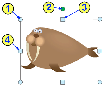 0200njcm-8b49-364x302.png