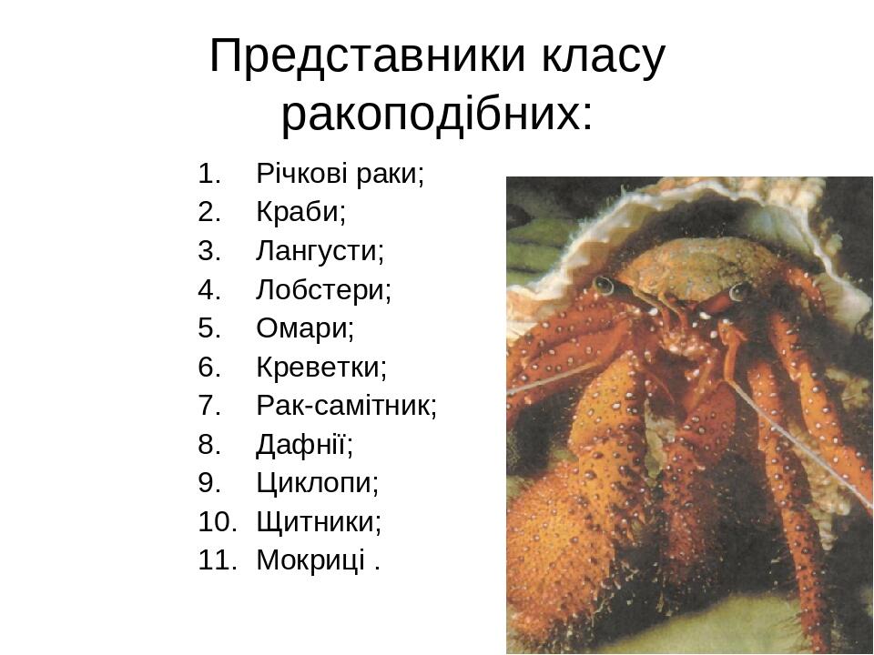Особливості та процеси життєдіяльності ракоподібних | Презентація. Біологія