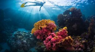 Reading: World Oceans Day (С1)