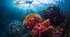 Reading: World Oceans Day (С1)