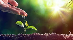 Reading: World Environment Day (B1)
