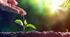 Reading: World Environment Day (B1)