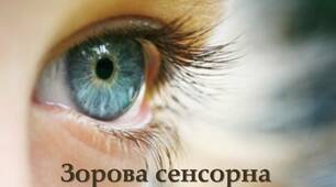 Зорова сенсорна система людини.