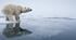 Reading: World Wildlife Day (B2)