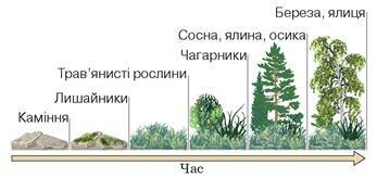 Стабільність екосистем та причини її порушення | Тест з біології – «На Урок»