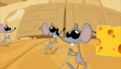 0200nyuw-557a-435x250.gif