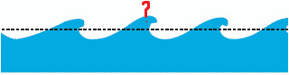 0200nz55-9196.jpg