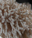 0200nzkk-d005-64x75.png