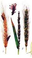 0200nzml-f90c-32x58.png
