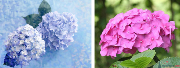 0200o0t7-b983-576x217.png