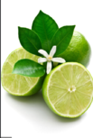0200o1s2-c74c-103x153.png