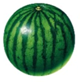 0200o22o-b882-161x166.png