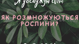 Жива природа: рослини. Досліджуємо: " Як розмножуються рослини?"