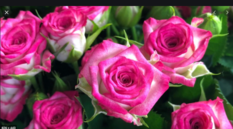0200o48h-5ef6-233x129.png