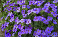 0200o4a7-1f61-192x124.png