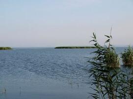 0200o50j-5be5-271x203.jpg