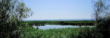 0200o510-c78f-476x164.jpg