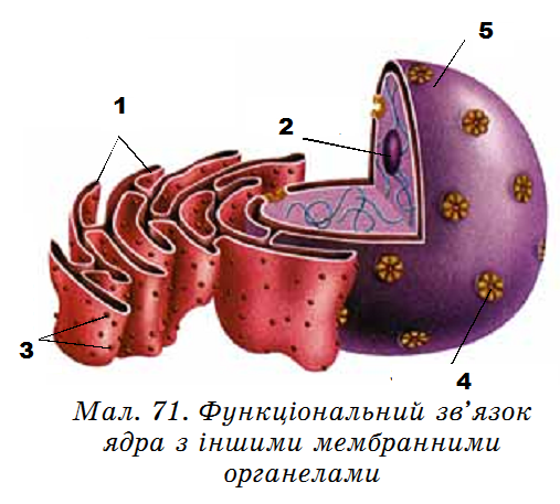 0200o5z7-6b25.png