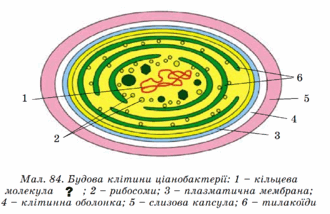 0200o609-5e85-940x609.png