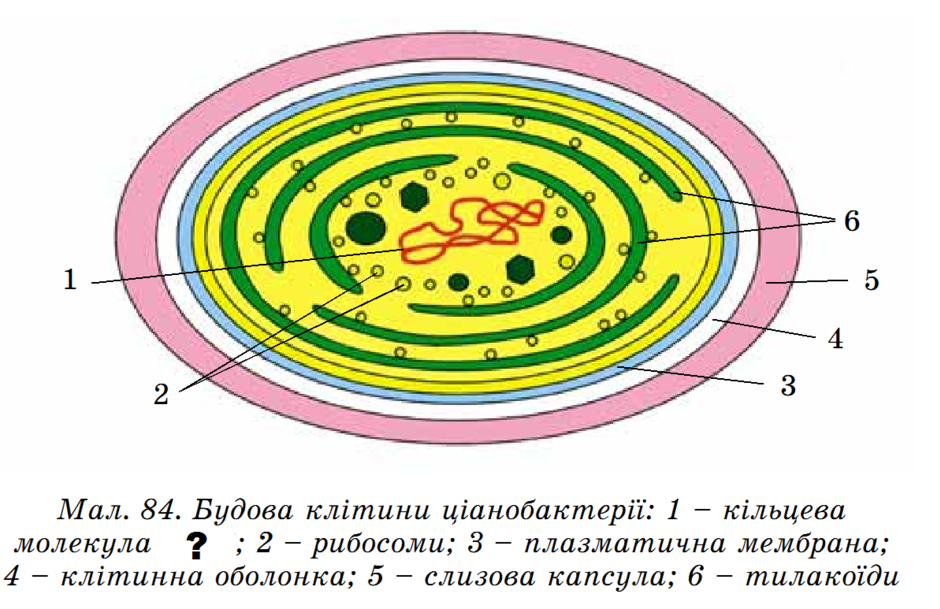 0200o609-5e85-940x609.png