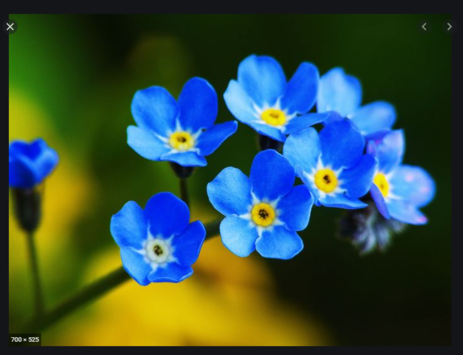 0200o6ji-b205-463x355.png
