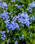 0200o6me-d905-148x184.png