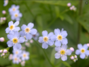 0200o6ol-0207-131x98.png
